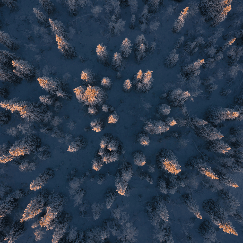 jaanus-jagomagi-XcKog6oW1FI-unsplash-1500x1500