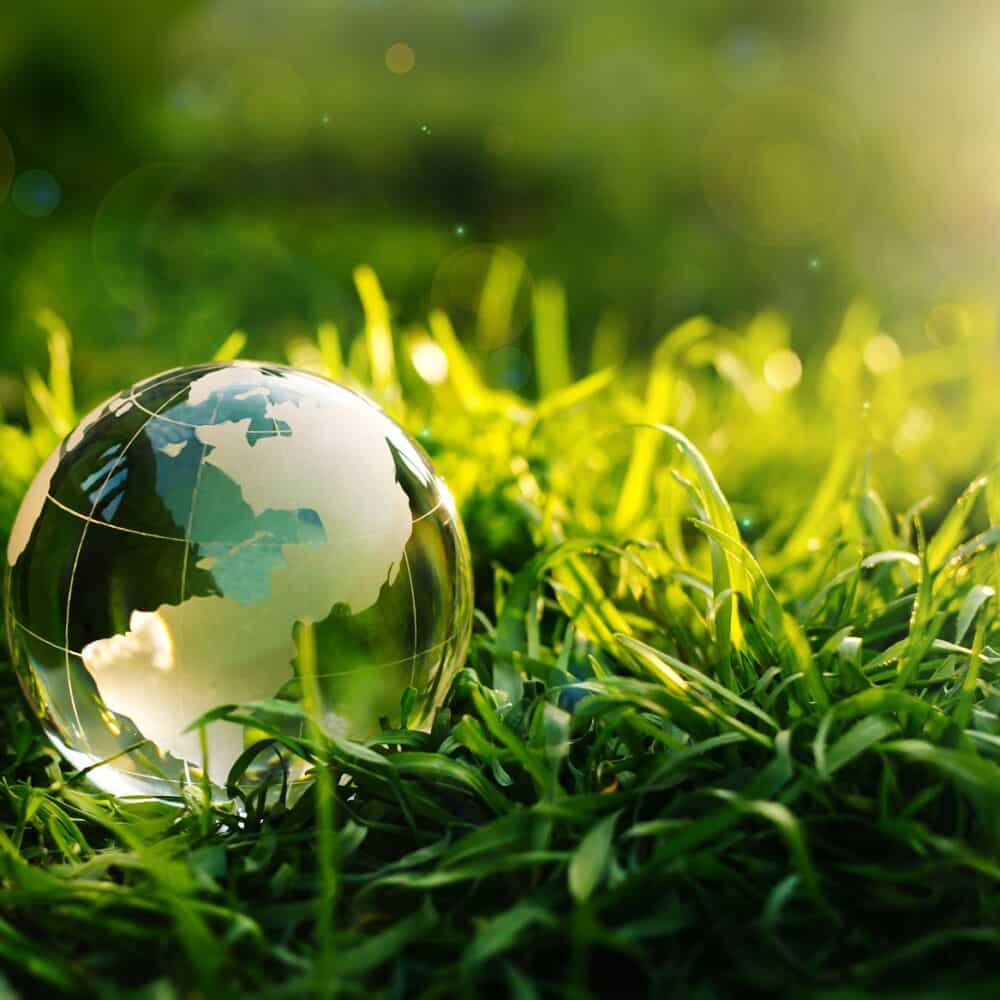 Glass globe in green grass at sunny background.  Concept of the Environment World Earth Day.